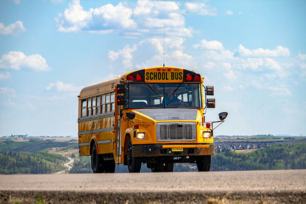 School Bus rental